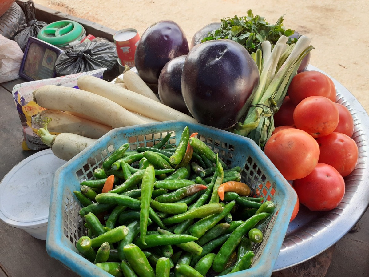 Nightshade vegetables — tomatoes, peppers and eggplant